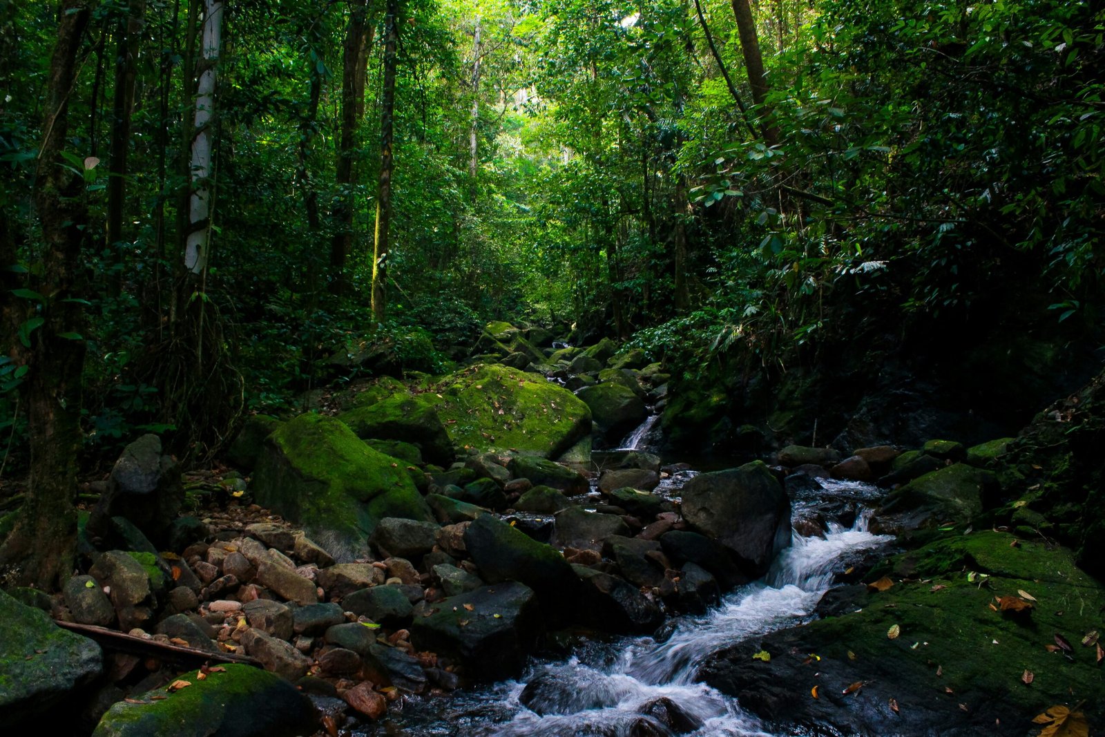 Visit Valparai tourism sightseeing places