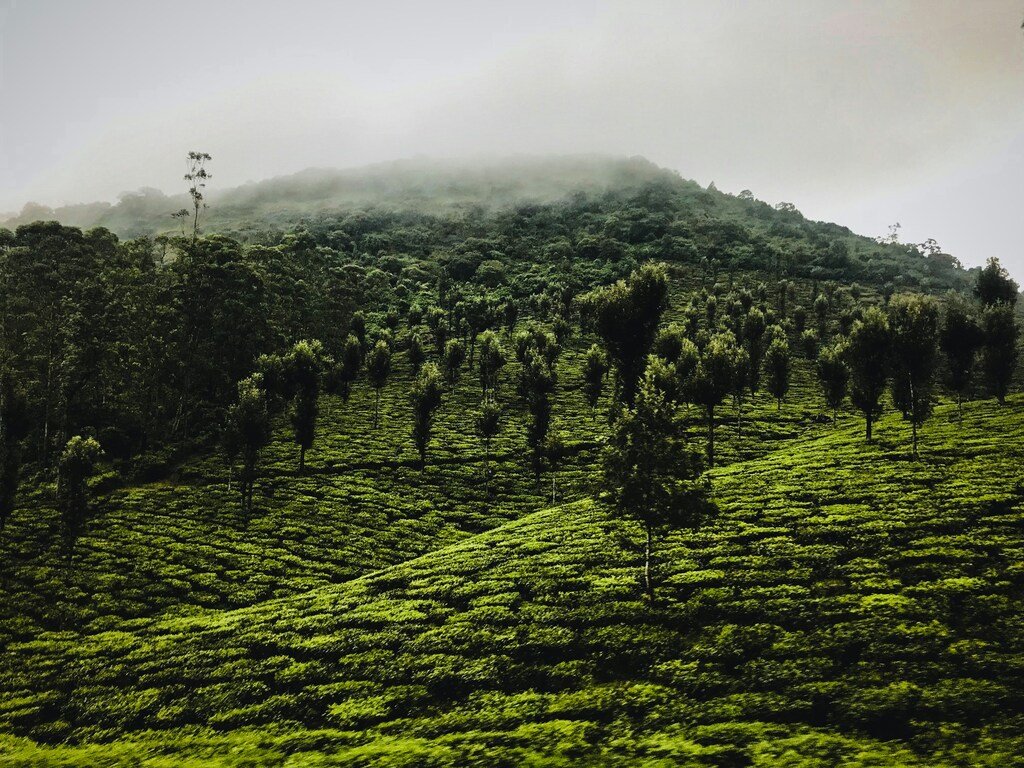 Ganapathy Travels Valparai | Best Travels in Valparai | Travels in Valparai | Travel Agency in Valparai | Tour Operator in Valparai | Valparai Tour Packages | Local Sightseeing Packages | Valparai Honeymoon Tour Packages| Valparai Budget Tour Packages | Valparai Sightseeing Packages | Valparai Local Sightseeing Packages | Valparai Day Sightseeing Packages | Valparai Holiday Packages | Valparai Travel Packages | Valparai Trip Packages | Valparai Cheap Tour Packages | Valparai Hotel Booking | Cab Booking in Valparai | Valparai Group Tour Packages | Valparai Honeymoon Tour Packages | Pollachi to Valparai Tour Packages | Valparai Adventure Tour Packages | Valparai Family Tour Packages | Coimbatore to Valparai Tour Packages | Students tour packages to Valparai  | Valparai Best & Budget Tours | Chennai to Valparai Tour Packages | Valparai Tourism | Valparai Activities | Valparai Attractions | Valparai Places to Visit | Valparai Hotels | Hotel Booking in Valparai | Car Rentals in Valparai | Cab Rentals in Valparai |