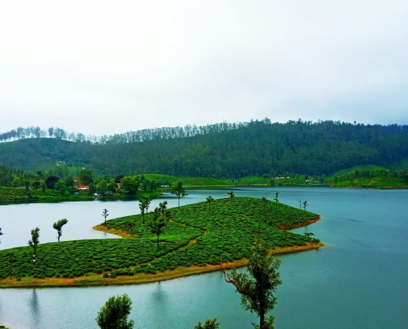 Ganapathy Travels Valparai | Best Travels in Valparai | Travels in Valparai | Travel Agency in Valparai | Tour Operator in Valparai | Valparai Tour Packages | Local Sightseeing Packages | Valparai Honeymoon Tour Packages| Valparai Budget Tour Packages | Valparai Sightseeing Packages | Valparai Local Sightseeing Packages | Valparai Day Sightseeing Packages | Valparai Holiday Packages | Valparai Travel Packages | Valparai Trip Packages | Valparai Cheap Tour Packages | Valparai Hotel Booking | Cab Booking in Valparai | Valparai Group Tour Packages | Valparai Honeymoon Tour Packages | Pollachi to Valparai Tour Packages | Valparai Adventure Tour Packages | Valparai Family Tour Packages | Coimbatore to Valparai Tour Packages | Students tour packages to Valparai  | Valparai Best & Budget Tours | Chennai to Valparai Tour Packages | Valparai Tourism | Valparai Activities | Valparai Attractions | Valparai Places to Visit | Valparai Hotels | Hotel Booking in Valparai | Car Rentals in Valparai | Cab Rentals in Valparai |