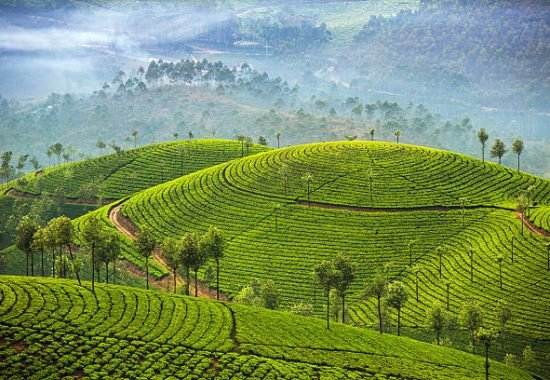 Ganapathy Travels Valparai | Best Travels in Valparai | Travels in Valparai | Travel Agency in Valparai | Tour Operator in Valparai | Valparai Tour Packages | Local Sightseeing Packages | Valparai Honeymoon Tour Packages| Valparai Budget Tour Packages | Valparai Sightseeing Packages | Valparai Local Sightseeing Packages | Valparai Day Sightseeing Packages | Valparai Holiday Packages | Valparai Travel Packages | Valparai Trip Packages | Valparai Cheap Tour Packages | Valparai Hotel Booking | Cab Booking in Valparai | Valparai Group Tour Packages | Valparai Honeymoon Tour Packages | Pollachi to Valparai Tour Packages | Valparai Adventure Tour Packages | Valparai Family Tour Packages | Coimbatore to Valparai Tour Packages | Students tour packages to Valparai  | Valparai Best & Budget Tours | Chennai to Valparai Tour Packages | Valparai Tourism | Valparai Activities | Valparai Attractions | Valparai Places to Visit | Valparai Hotels | Hotel Booking in Valparai | Car Rentals in Valparai | Cab Rentals in Valparai |